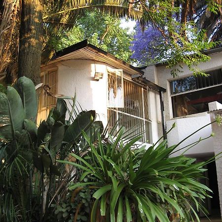 Rosebank Hostel Johannesburg Luaran gambar